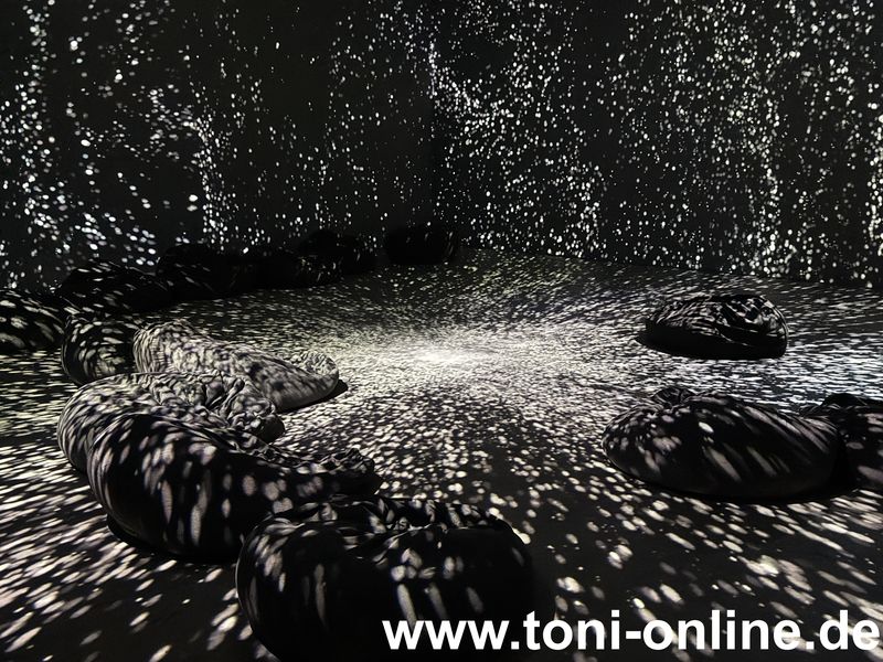 Vollbild