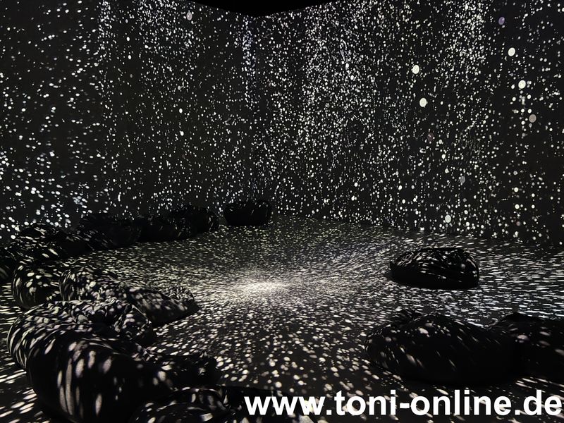Vollbild
