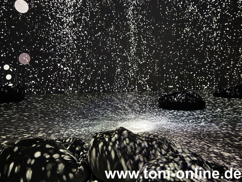 Vollbild